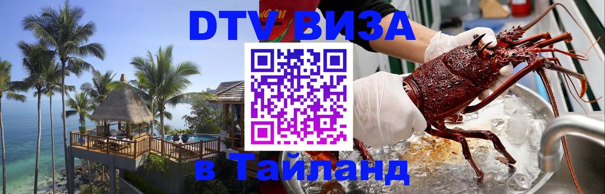 Оформление DTV визы под ключ: стоимость и тарифы, только загранпаспорт - 